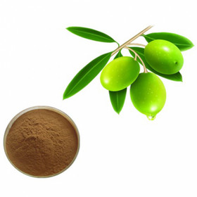 Olive leaf extract?