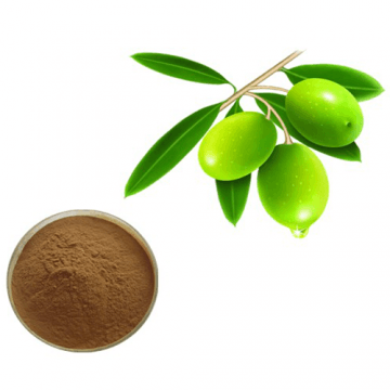 Olive leaf extract?