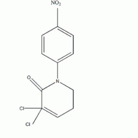 3,3-dichloro-1-(4-nitrophenyl)piperidin-2-one