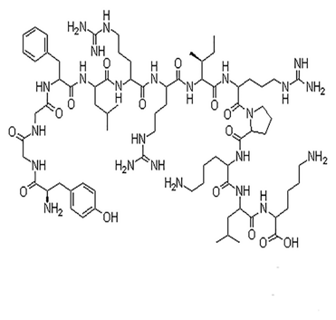 Dynorphin A (1-13) Acetate