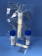 Amyloid β/A4 Protein Precursor??? (394-410) trifluoroacetate salt/APP??? (394-410)