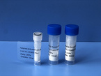Amyloid β-Protein (25-35)?