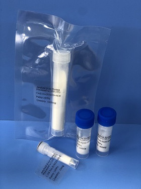Amyloid β/A4 Protein Precursor??? (135-155)/APP??? (135-155)