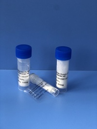 Amyloid Bri Protein (1-34) trifluoroacetate salt