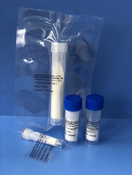 Amyloid Bri Protein (1-34) (reduced) trifluoroacetate salt