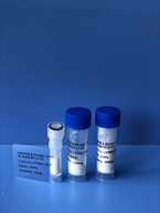 Amyloid β-Protein (3-40)?/β-Amyloid (3-40)