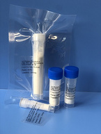 Amyloid β/A4 Protein Precursor??? (586-595) (human, mouse, rat) trifluoroacetate salt/APP??? (586-59