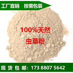 Cordyceps powder