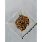 Cordyceps polysaccharide