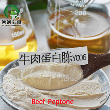 Beef Peptone