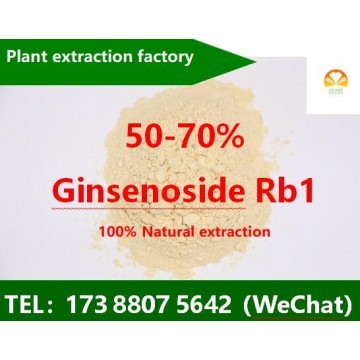 Ginsenoside Rb1-70%