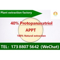 Protopanaxadiol-40%-APPT