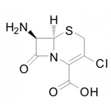 7-ACCA