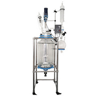 Newest Chemical And Fermentation 10L Pharmaceutical Glass Reactor