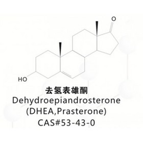 Dehydroepiandrosterone(DHEA)