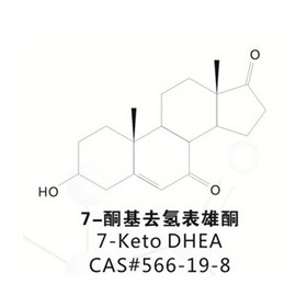 7-keto DHEA