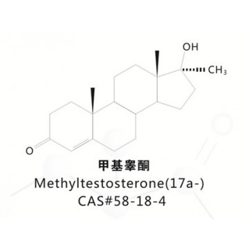 Methyl Testosterone