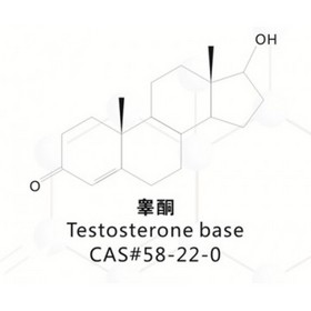 Testosterone