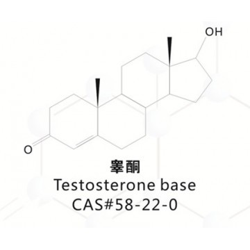 Testosterone