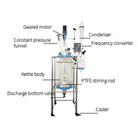 Glass Reactor 10l Glass Reactor Chemical Stirred Glass Reactor