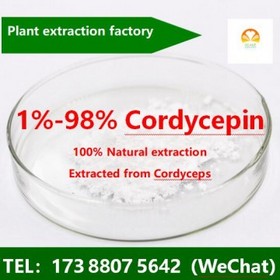 Cordyceps Extracts --- Cordycepin  , 1%-99%