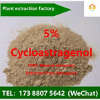 Cycloastragenol-5%