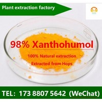 Hops Extracts --Xanthohumol