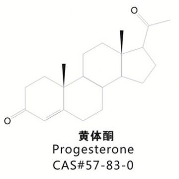 Progesterone??