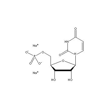 Uridine-5&acute;-monophosphate Acid