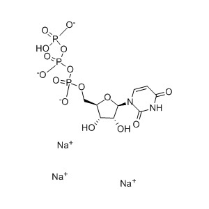 Uridine-5&acute;- Triphosphate Trisodium Salt nucleic acid /protein synthesis
