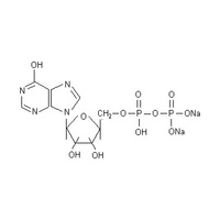 Inosine-5&acute;- Diphosphate Disodium Salt nucleic acid /protein synthesis