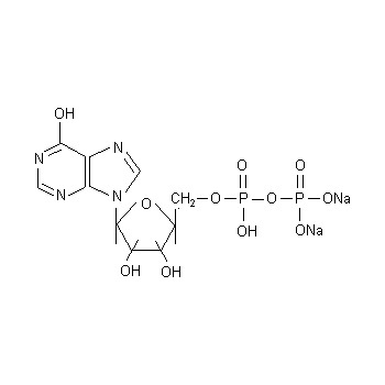 Inosine-5&acute;- Diphosphate Disodium Salt nucleic acid /protein synthesis