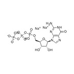 Guanosine-5’- triphosphate disodium salt nucleic acid /protein synthesis