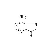 ADENINE intermediates