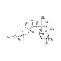 Clindamycin Hydrochloride lincomycin