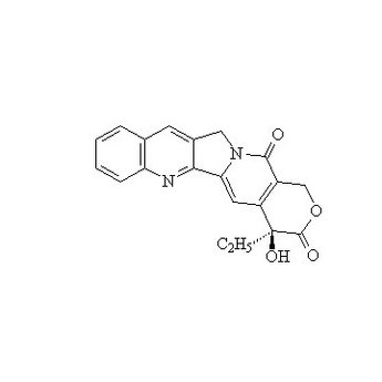 Camptothecin plant extracts