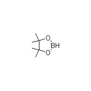 Pinacolborane intermediates