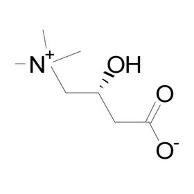 L-Carnitine