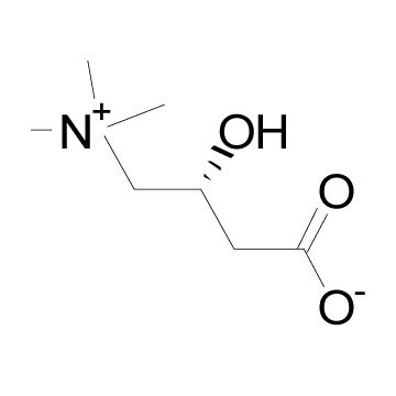 L-Carnitine