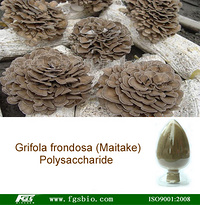 Maitake Mushroom Extract