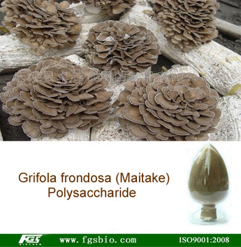 Maitake Mushroom Extract