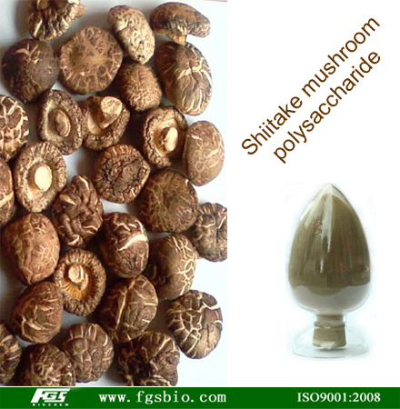 Shiitake Mushroom Extract