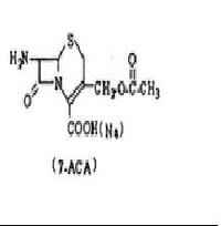 7-ACA(7-Amino Cephalosporanic Acid) cytokines
