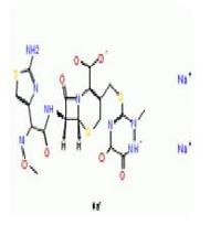 Ceftriaxone Sodium cytokines