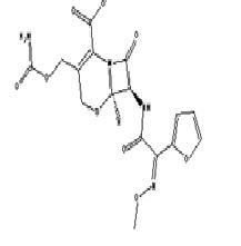 Cefuroxime Sodium cytokines