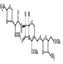 Cefodizime Sodium cytokines