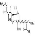 Cefodizime Sodium cytokines