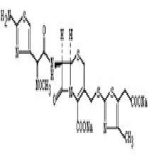 Cefodizime Sodium cytokines  