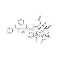 Paclitaxel other active pharmaceutical ingredients