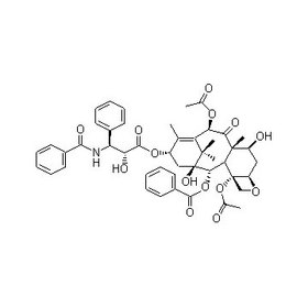 Paclitaxel other active pharmaceutical ingredients